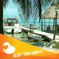 Julie Ohm Funk's profile image