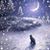 Marybeth Harvey's profile image