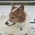 Lisa White's profile image