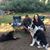 Jasper Begay's profile image