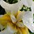 Jean Thornburg Taylor's profile image