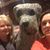 Cindi Crawford's profile image