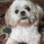 Lisa Ann's profile image