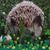 Todd Michael Beitner's profile image