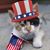 David Arwood's profile image