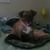 Pattie Lee's profile image