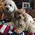Jennifer Beiner's profile image