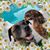 Carol N Denny Taylor-Gleason's profile image