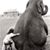 Marilyn Oden's profile image