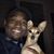 Vincent LaRue Balloon's profile image