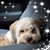 Pam Robertson Watson's profile image