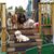 Susan L Stanton's profile image