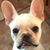 Sherri McClain's profile image
