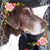 Lori Smith's profile image
