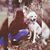 Kellen Gabrielle Yust's profile image