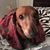 Robin Lee Hanright's profile image