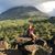 Zaida Sanjuan's profile image