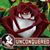 Rosa O'Quinn's profile image