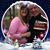 Dawn M Everett's profile image