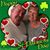 Beth Wittman-Dowdy's profile image