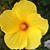 Deanie Klemm's profile image