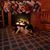 Jeanette Luecke's profile image