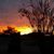 Shannon Cavanaugh Rojas's profile image