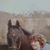 June Wemlinger's profile image