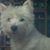 Roxanne Hiott Davis's profile image