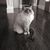Elizabeth Liseno Puccio's profile image