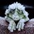 Char Cater's profile image
