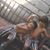 Ginna Guiang Myers's profile image