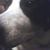 Sandy Richards Morgan's profile image