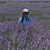 Laurie Kozofsky's profile image