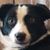 Martina McKenzie-Wettig's profile image