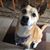 Autumn Belon's profile image