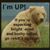 Dee Jones's profile image