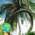 Marcos Diaz Lopez's profile image