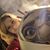Chelsea Kehs's profile image
