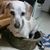 Kimberly Sharp's profile image