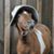 Sara Haygood's profile image