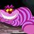 Mark Moors's profile image