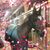 Sharon Cameron Doherty's profile image