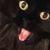 DebraSmoke Bruner's profile image