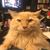 Kevin N. Mettinger's profile image