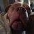 Sara Bailor's profile image