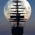 John P Beauchamp's profile image