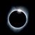 Wade Holaday's profile image