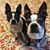 Shelley Milburn's profile image