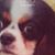 Paulette Holtzman Dobranski's profile image
